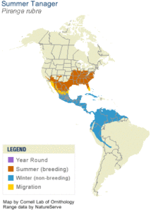 summer tanager map