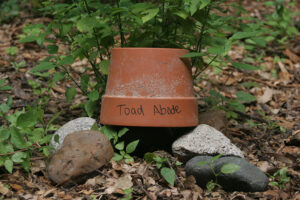 toad abode smaller