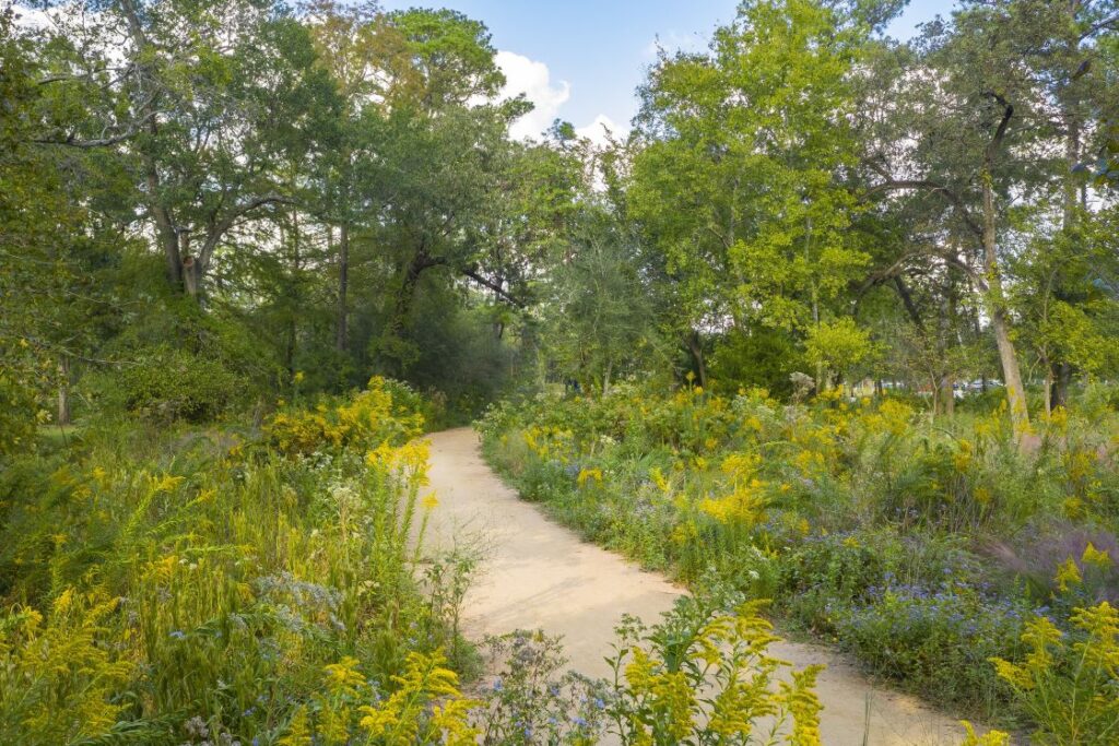 Landscaping with Native Plants Houston Arboretum & Nature Center