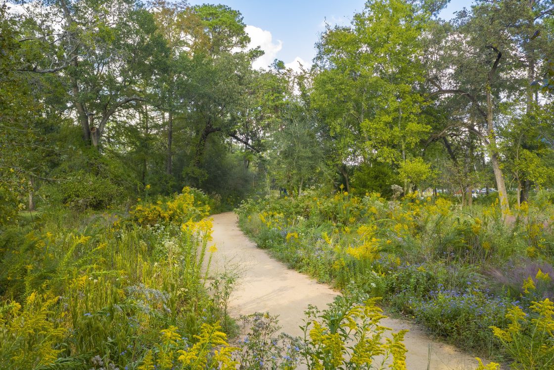 Landscaping with Native Plants Houston Arboretum & Nature Center