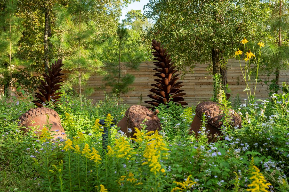 Landscaping with Native Plants Houston Arboretum & Nature Center