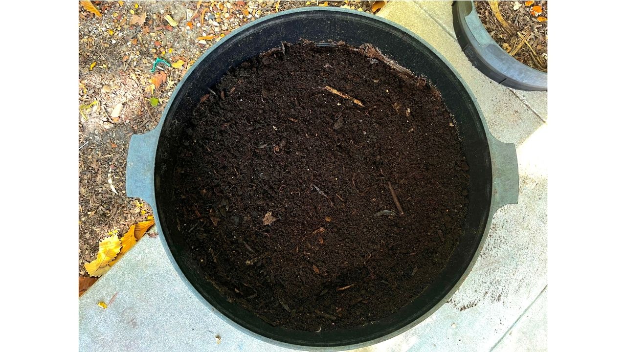 A Beginner's Guide to Composting - Houston Arboretum & Nature Center